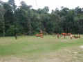 Tn DSC 6427